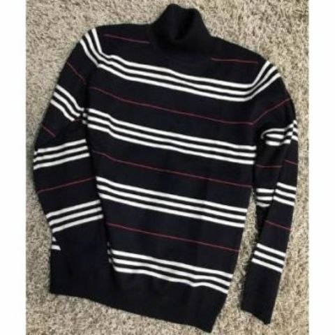 Stripped turtleneck sweaters