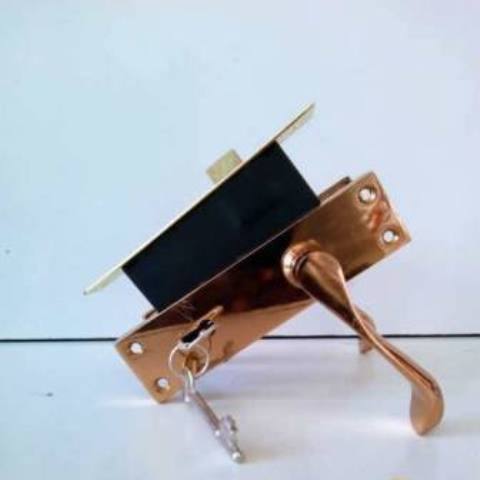 Rozie Lock Dull 2 lever door Lock